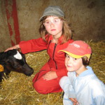 Des enfants et un veau