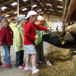 Des enfants dans une ferme caressant une vache