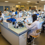 Laboratoire élèves