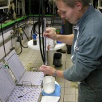 Controle laitier dans salle de traite