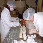 Fabrication de yaourts laiterie