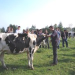 Professeur et élèves dans champ avec prim'holstein