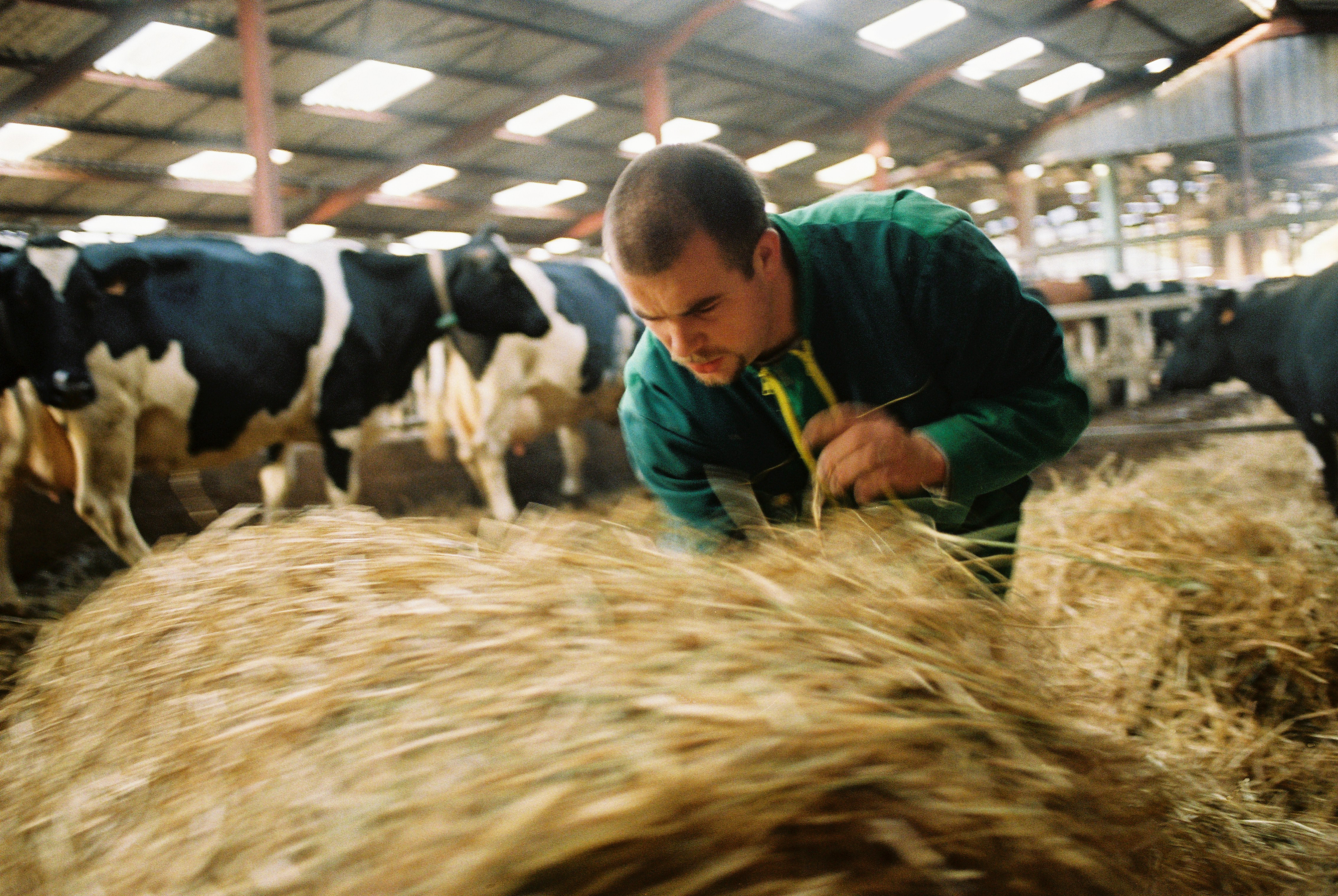 BTSA Productions Animales – L'espace pédagogique des produits laitiers