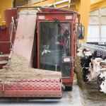 Matériel distribution d'alimentation vaches