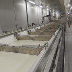 coagulateur lait usine