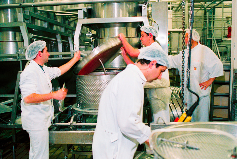 Technicien Fromager Lespace Pédagogique Des Produits Laitiers 