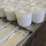 Fabrication de fromages caillés Ferme de la cabriole
