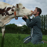 Eleveur et vache normande bisou