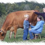 Enfants et vache style photo