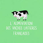 L'alimentation des vaches laitières françaises
