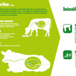 Panneau 'exploitation laitière' 4 : De l'herbe aux bénéfices du lait