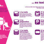 Panneau 'exploitation laitière' 5 : De l'étable au tank à lait