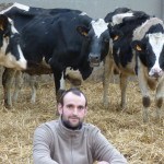 Prim'Holstein et éleveur dans stabulation