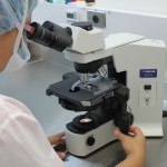 femme qui regarde dans microscope, laboratoire, recherche, études