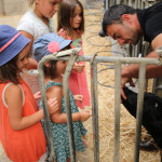 Enfants regardant petit veau ds stabulation avec éleveur