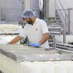 Usine, Fabrication de la fourme d'Ambert, chaine