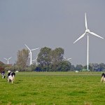 éoliennes et vaches prim'Holstein dans champ, pré