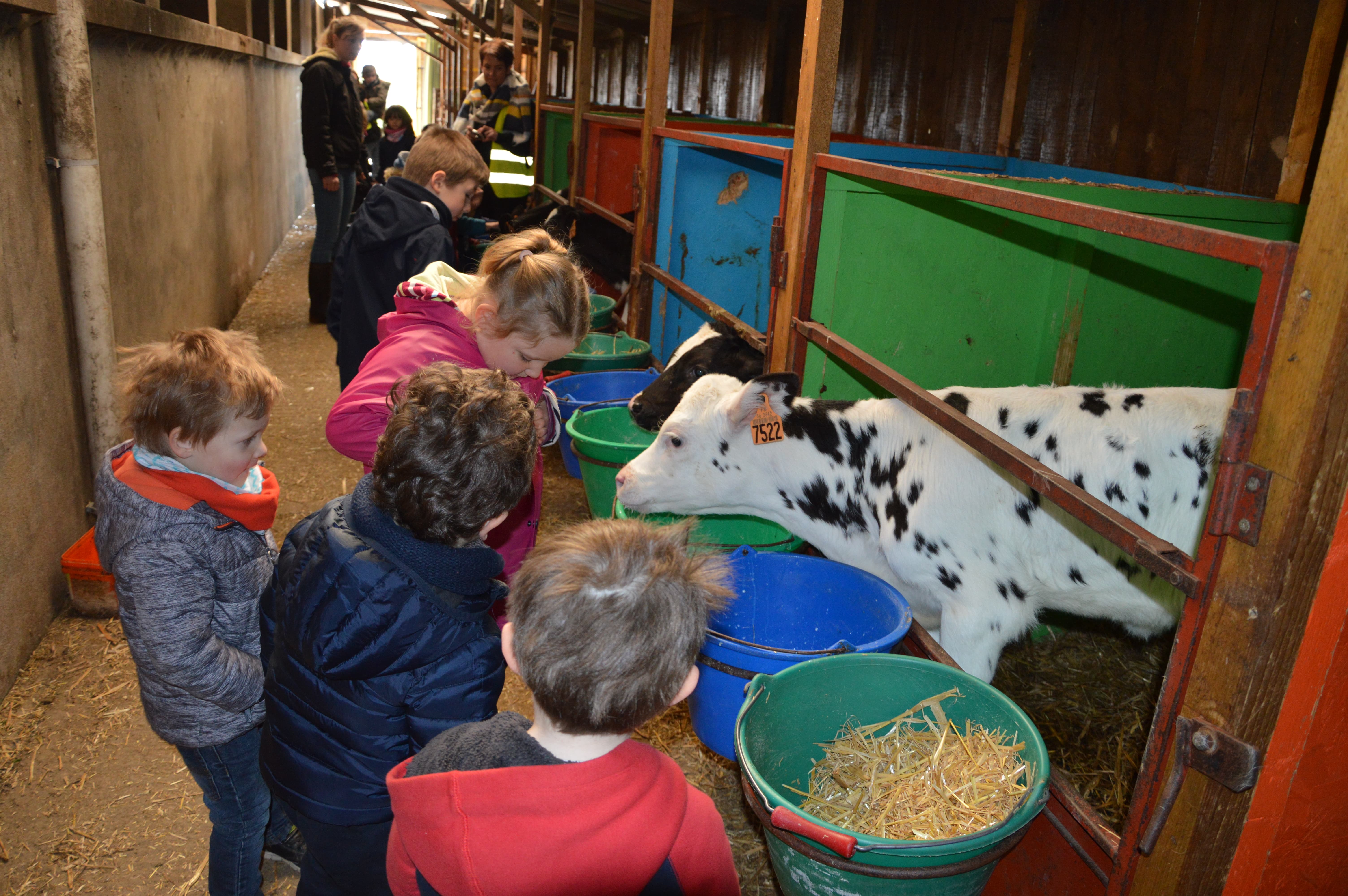 La petite Arche de la Vallée L'espace pédagogique des produits laitiers