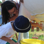 Deux enfants font la traite sur fausse vache, saut jaune en plastique, Ferme des peupliers