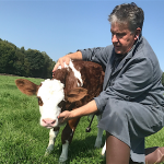 Rencontre avec Gerard Bosquet - vétérinaire rural
