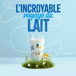 l'incroyable Voyage du lait