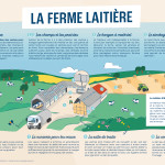 Support_Enseignant_FP_20_2