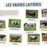 Support_Enseignant_FP_20_3