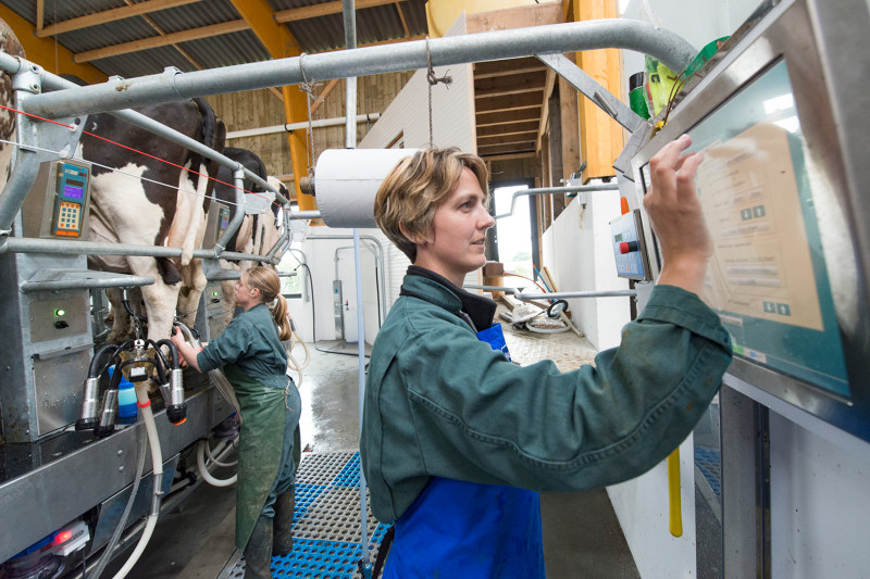 Chef Dexploitation Laitière Lespace Pédagogique Des Produits Laitiers 