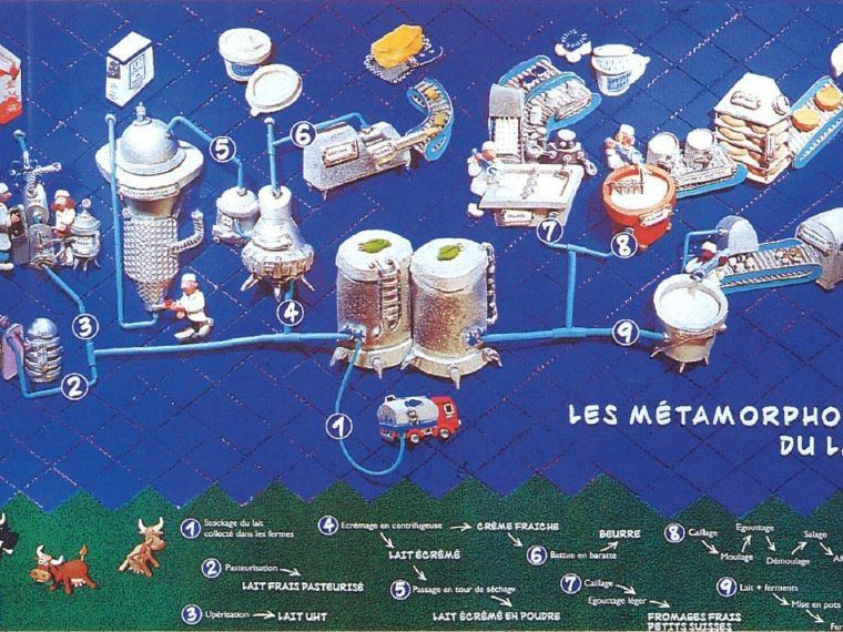 Affiche Les Principaux Procédés De Transformation Du Lait Lespace Pédagogique Des Produits 